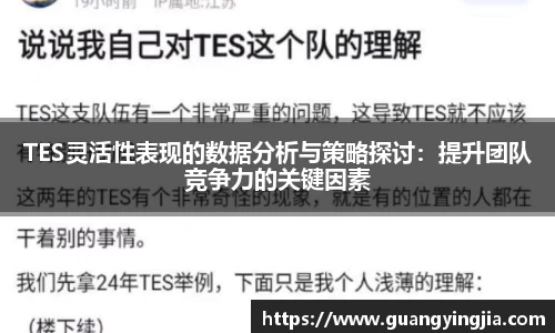 TES灵活性表现的数据分析与策略探讨:提升团队竞争力的关键因素